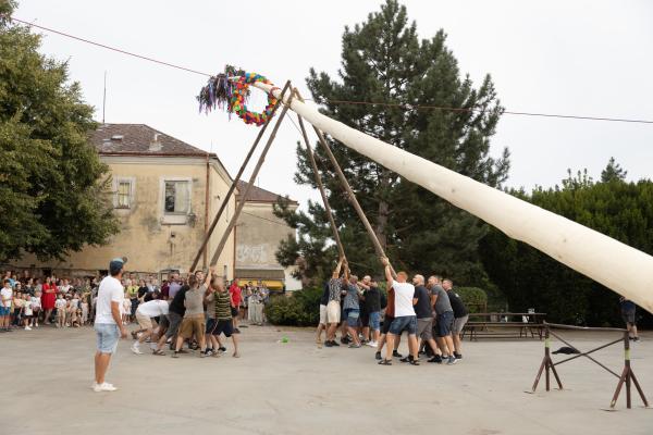 Maibaum-Aufstellung